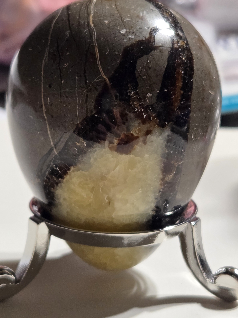 Polished Septarian Calcite "Dragon Stone" Egg - Picture 13 of 14
